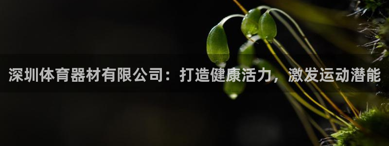 耀世集团王总：深圳体育器材有限公司：打造健康活力，激