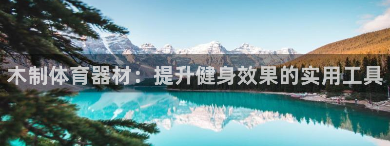 耀世平台会员中心怎么进：木制体育器材：提升健身效果的