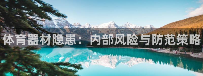 耀世娱乐代理什么待遇：体育器材隐患：内部风险与防范策略