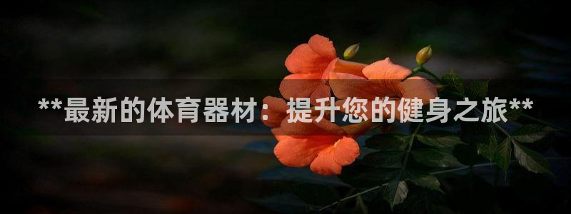 耀世平台负责人：**最新的体育器材：提升您的健身之旅**