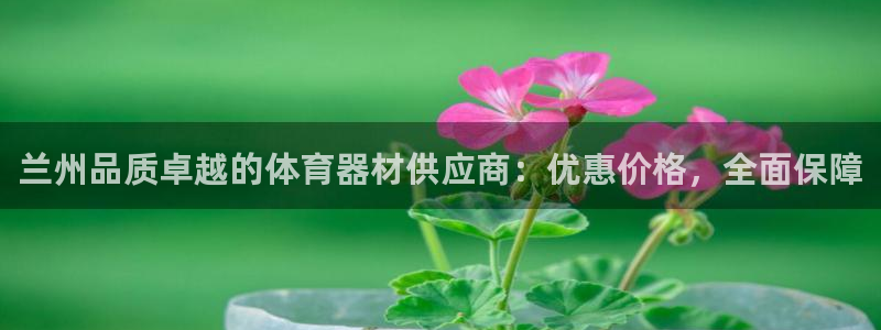 耀世开盘是什么意思：兰州品质卓越的体育器材供应商：优惠价格，