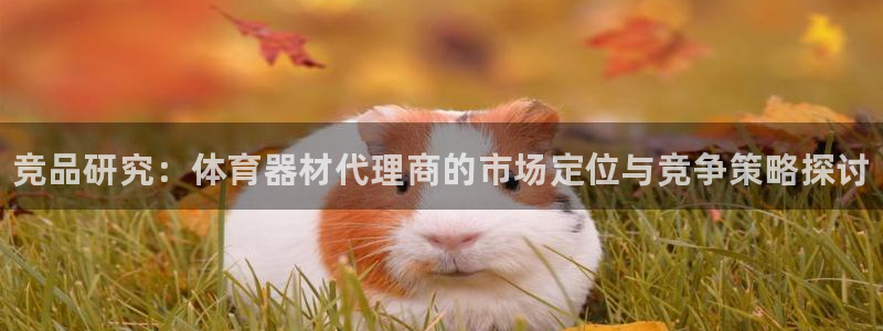 耀世平台拿什么输入账号密码呢