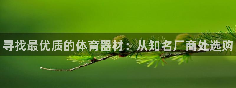 耀世天下的网名是什么意思啊：寻找最优质的体育器材：从