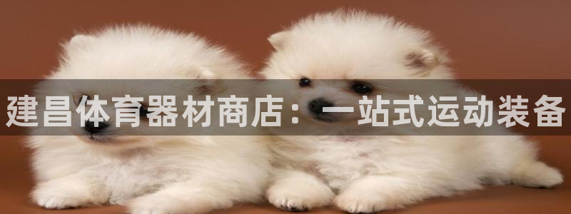 耀世小说全文免费阅读：建昌体育器材商店：一站式运动装