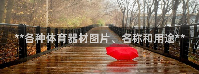 耀世平台下载：**各种体育器材图片、名称和用途**