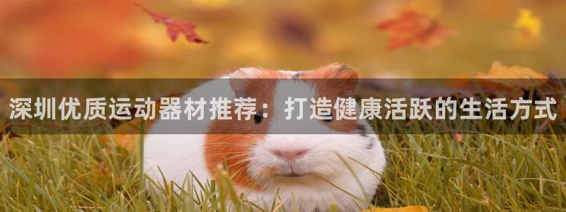 耀世娱乐客服电话多少：深圳优质运动器材推荐：打造健康活跃的生