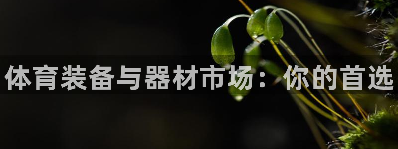 耀世平台有很多登录地址怎么办：体育装备与器材市场：你