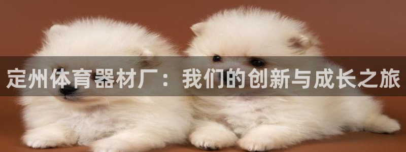 耀世娱乐是正规还是仿：定州体育器材厂：我们的创新与成