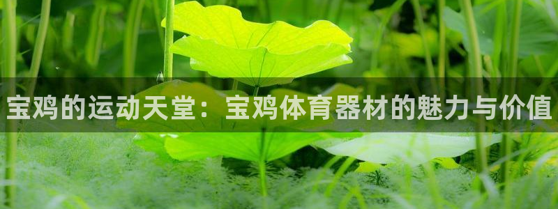 耀世集团商业联盟怎么样：宝鸡的运动天堂：宝鸡体育器材