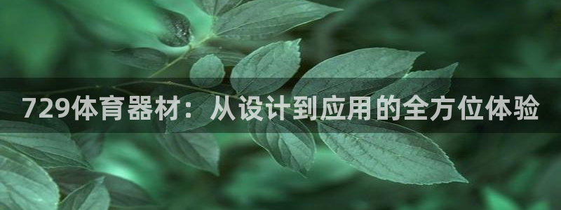 六星耀世什么意思：729体育器材：从设计到应用的全方位体验